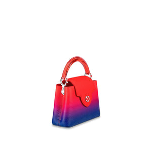 CAPUCINES MINI WITH PLEXIGLASS TOP HANDLE - CROSSBODY BAG